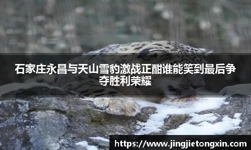 石家庄永昌与天山雪豹激战正酣谁能笑到最后争夺胜利荣耀